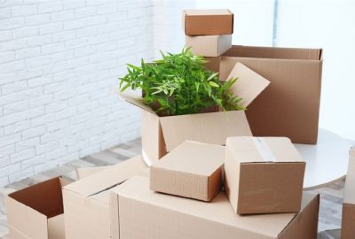 Safely Move Your Plants
